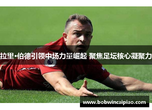 拉里·伯德引领中场力量崛起 聚焦足坛核心凝聚力