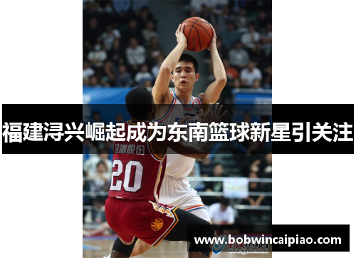福建浔兴崛起成为东南篮球新星引关注