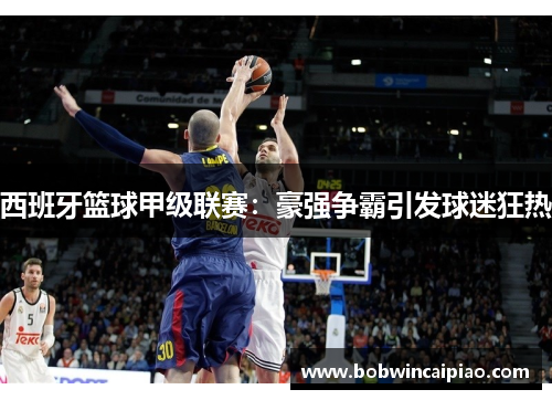 西班牙篮球甲级联赛：豪强争霸引发球迷狂热