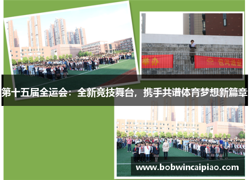 第十五届全运会：全新竞技舞台，携手共谱体育梦想新篇章