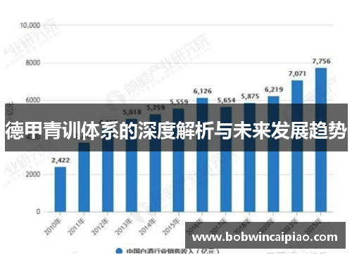 德甲青训体系的深度解析与未来发展趋势