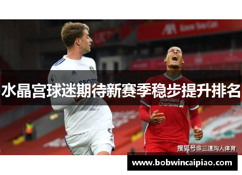 水晶宫球迷期待新赛季稳步提升排名